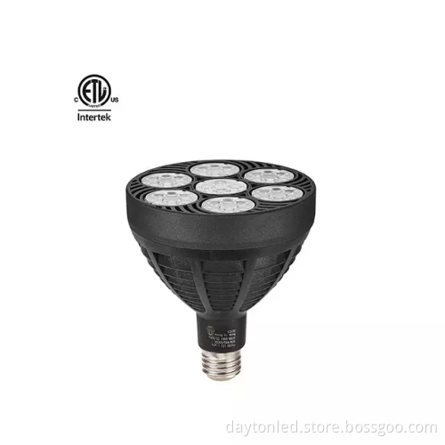 SZDAYTON Lighting PAR38 SMD High Power Grow Light